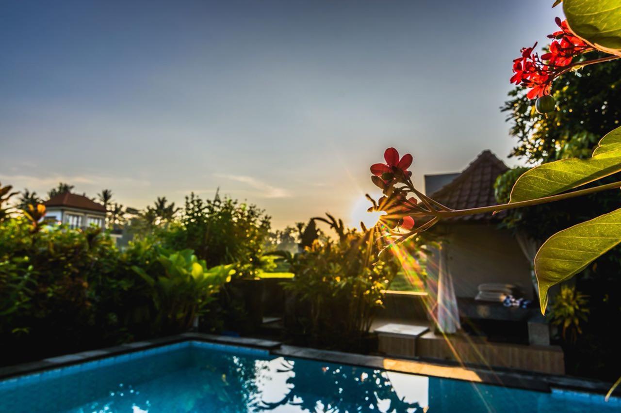 Pondok Anastasia Ubud Exterior foto